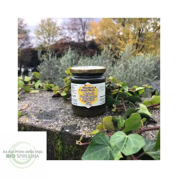 MIELE DI EUCALIPTO CON SPIRULINA 250g